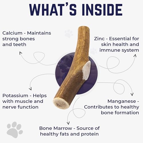 Devil Dog Pet Co - Elk Antler for Dogs Medium - Long Lasting Dog Chew for Aggressive Chewers, Small to Medium Breeds - Naturally Shed Grade A Rocky Mountain Elk, Anxiety & Boredom Relief (15-40 lbs)