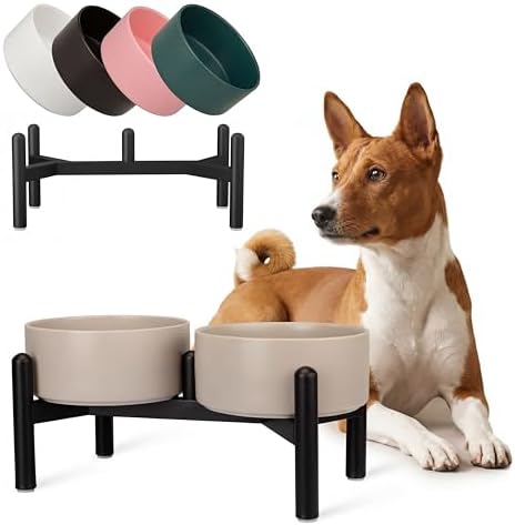 Comedero Perro Elevado de Cerámica - Cuenco Doble con Soporte de Acero Inoxidable - Platos para Perros Pequeños y Medianos - 660 ml x 2 - Blanca