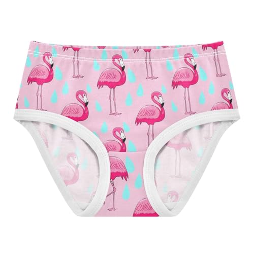 Joisal Girls Underwear Toddlers 2t Cotton Panties for Girl Pattern Briefs Undies Kids Pink Cartoon Flamingos Cartoon