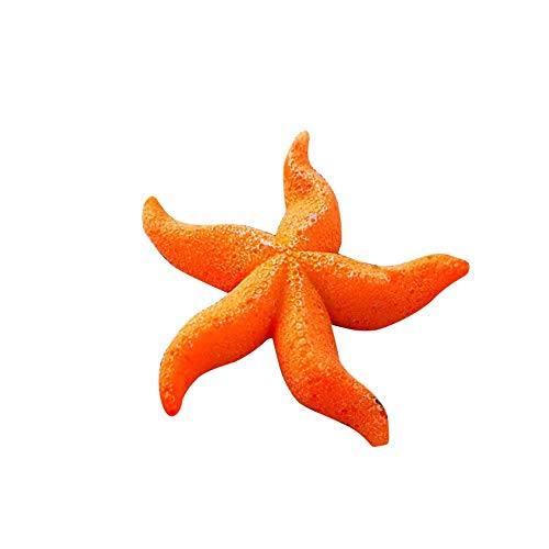 Orno sottomarino fabbrica di stella marina di