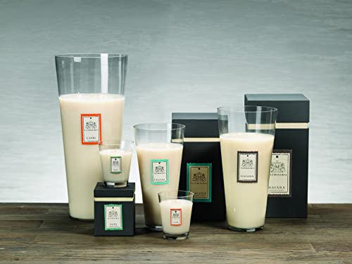 Zodax Illuminaria Collection Scented Candle Small Glass Jar In Gift Box (Capri) - 340 Gr/12 Oz #TOP3