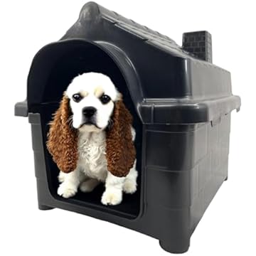 Casinha Pet para Cachorro Gato Conforto e Segurança Casa N4