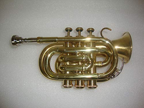 Oswal Bb Flat Brass Finishing Pocket Trumpet W/Free Case+Mouthpiece #TOP1