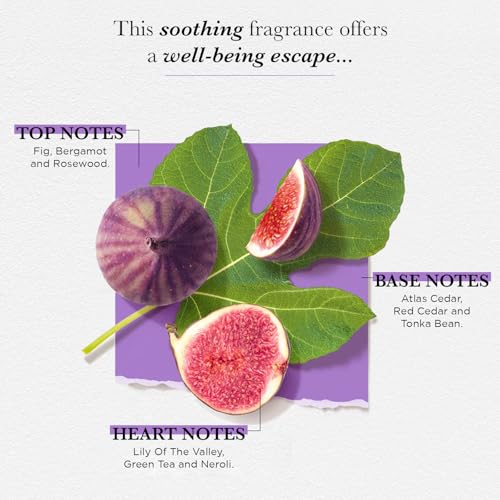 Image of Solinotes Fig Tree Eau de Parfum, Bergamot & Rosewood, Vegan, 1.7 Fl Oz