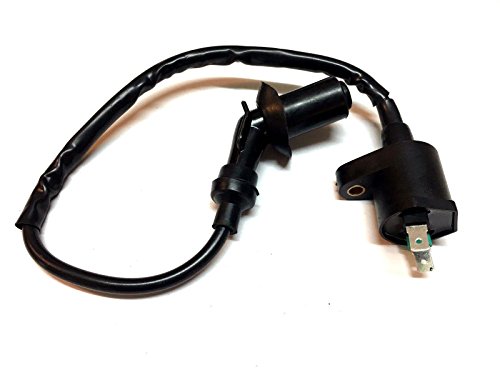 24 Inch Yerf Dog Ignition Coil Spider Box 150cc Go