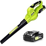 SnapFresh Leaf Blower - 20V Leaf Blower Cordless with 2.0Ah Battery & Fast Charger, Electric Leaf Blower for Lawn Care, Battery Powered Lightweight Leaf Blower for Leaf/Dust Blowing