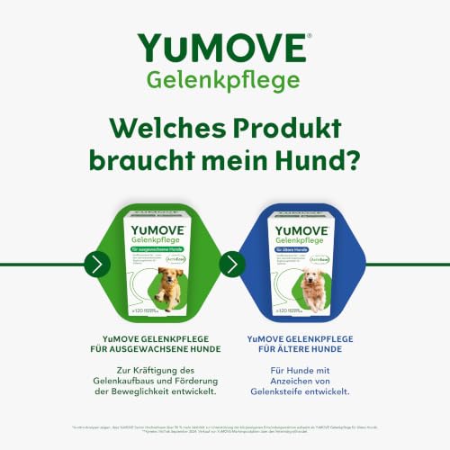 Yumove Testsieger Gelenktabletten Hund 2–7 Jahre – 120 Tabletten ActivEase