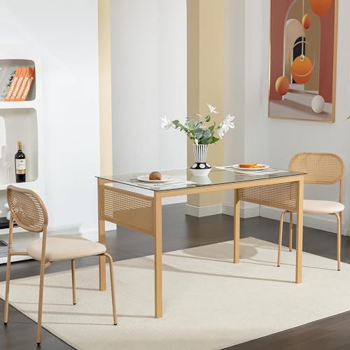 QSFCUB Lot de 2 chaises de salle à manger, rembourrées, style bohème, en rotin, avec quatre pieds de support en métal, pour cuisine, salon, jardin, balcon et fête...