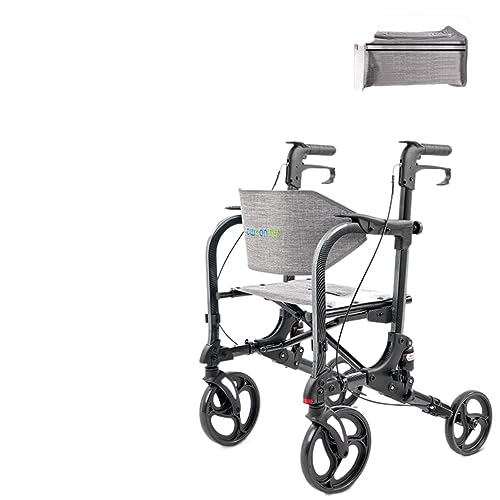 ���s�� ���ʕ��s�� �������\ ���s�⏕�� ��Q�҉����P���p�L�����n�r���� (���@�\���s�⏕�� �Y�f�@�ۓ]�ʈ���̕��L���f��)