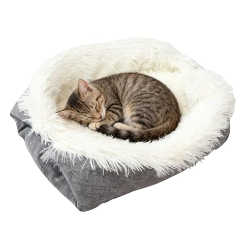 Gxcbgher L  xbh - ȔM 􂦂 _炩 pi - p L xbh, O ~  LsO fXN xbhTCh  ֎q \t@  VF^[ p