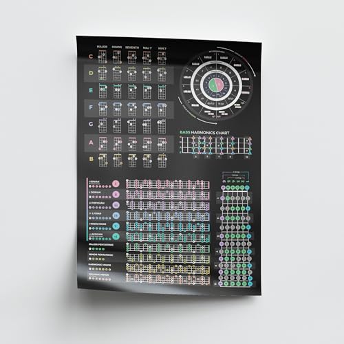 Musiciangoods Bass Theory Cheat Sheet Poster - Chords, Scales, Fretboard Notes & Circle of Fifths Guide - Music Theory for Bass Players - 24" x 36"