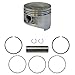 Performance Plus Carts Ring and Piston Set +.50mm for Club Car FE290 Golf Cart