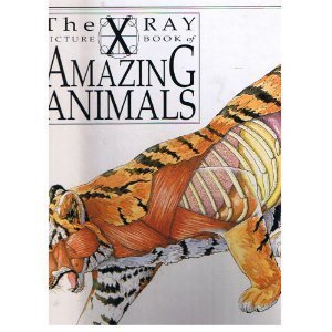 X Ray Picture Book of Amazing Animals