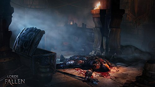Lords of the Fallen version physique premium game - 6