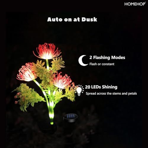 Image of Homehop Solar Light Outdoor Home Garden Waterproof Decorative Flower Lamp | Solar Garden Light Automatic Wireless Blossom Decor for Balcony, Pathway, Entryway, Landscape, Yard, Patio (ABS,Warm White)