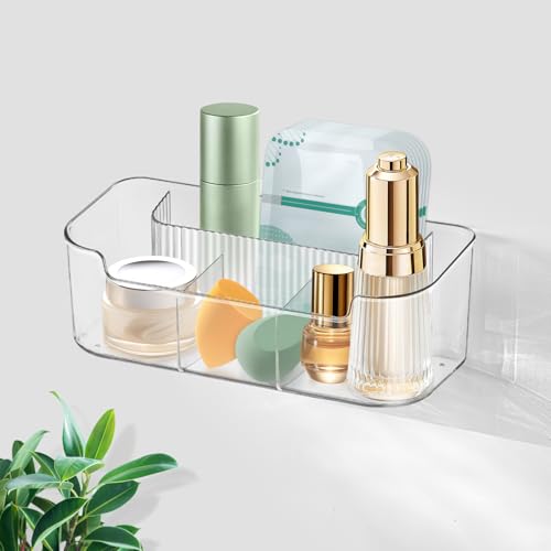 Poeland Wall Mounted Storage Organizer, Hanging Makeup Organizer with 4 Compartments, Clear Storage Box for Bathroom, Bedroom (Transparent)