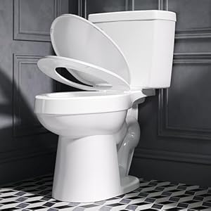 ELLAI Two Piece Elongated Toilets ADA Chair Comfort Height 165 Powerful Single Flush 128 GPF 12 Rough In with Side Trip Lever White 283x172x31