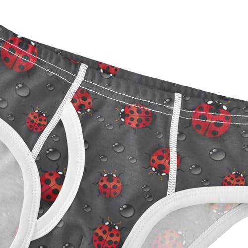 Boys' Exclusive Briefs Toddler Underwear 95% Combed Cotton Boxerbriefs 2T Ladybug and Water - Drop Pattern 314