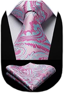 HISDERN Floral Paisley Wedding Tie Handkerchief Men's Necktie & Pocket Square Set
