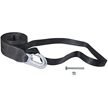 Goldenrod 24291 Dutton-Lainson Company6147 Winch Strap and Hook 6147