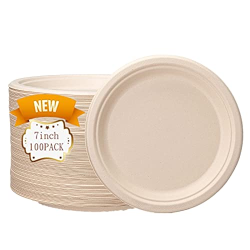 Top 10 Heavy Duty Paper Plates of 2023 Best Reviews Guide