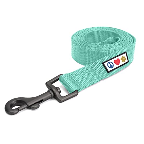 Pawtitas 6 FT Solid Color Comfortable Handle Dog Training Leash - Medium/Large, 6 ft Teal