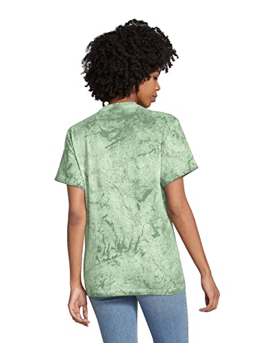 Image of Comfort Colors Adult Short Sleeve Tee, Style G1717