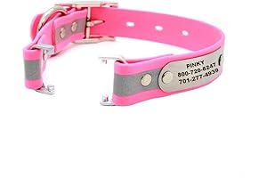 1in. Wide Personalized Reflective Dog Collar Compatible with Fi Tracker