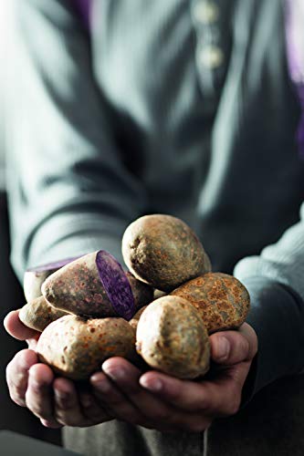 RÖSLE Pellkartoffelgabel, hochwertige Kartoffelgabel zum Kartoffelschälen, Edelstahl 18/10, spülmaschinengeeignet – Ansicht 2