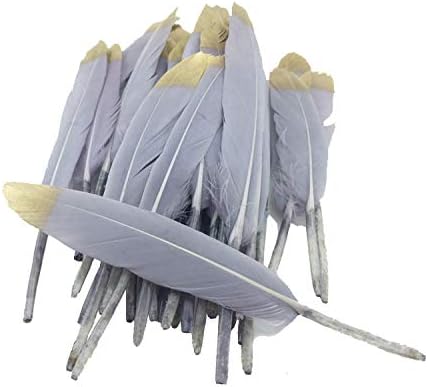 Colorful Gold Dipped Feather in Bulk for Craft Party Decoration Goose Feathers 20pcs/Pack/ (Grey)