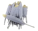 Assortment of 20pcs /pack feathers are between 4 inches and 6 inches in length