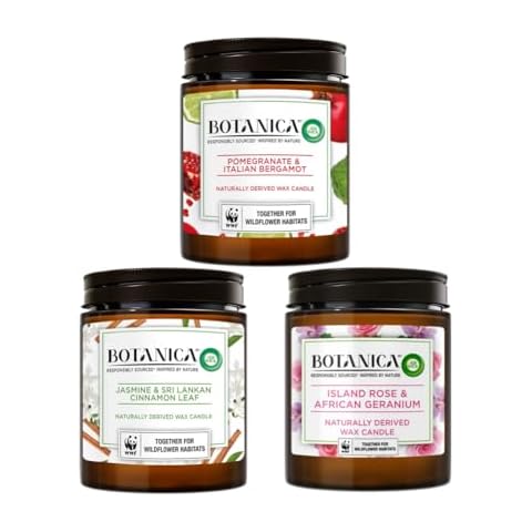 Palmzen Limited Edition Set of 3 Large Natural Candles Bundle Cover