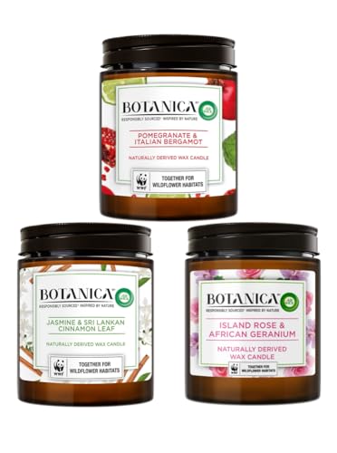 Palmzen Limited Edition Set of 3 Large Natural Candles Bundle | Scented Candles Long Burning Up to 270 Hours Burn Time | Large Scented Candles for a Relaxing Mood by Airwick