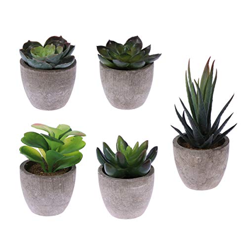 Hemoton Conjunto de 5 Plantas Suculentas Artificiais Em Vasos Faux Suculentas Decorativas Ideais par