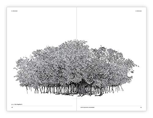 Princeton Architectural Press 52904540 The Architecture Of Trees thumb #14