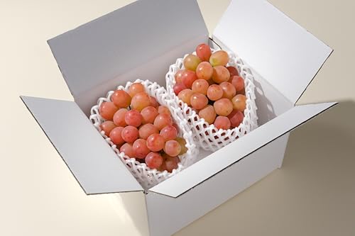 甲州市産 サンシャインレッド 2房入(約1.1kg)自然農法[2026年9月上旬〜10月中旬頃、順次お届け予定](BNC)B16-425