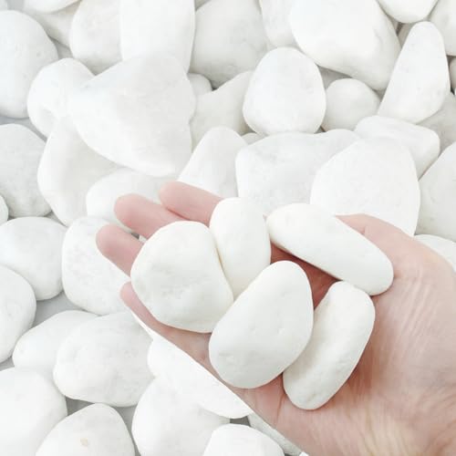 VINICS White Pebbles 2-3 Inch