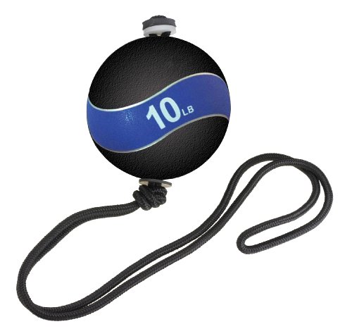Altus Athletic Altus 10-Pound Swing Core Crunch Ball
