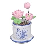 Délice de jardin miniature : créez un charmant jardin miniature avec ce pot de fleurs de lotus, parfait pour améliorer la décoration de votre maison, salon ou tout autre espace.