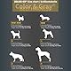 Julius-K9, IDC® Color & Gray® Beltgeschirr