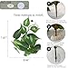 IBWell Fake Reptile Plants for Reptile Terrarium Plants, Reptile Plant Décor, Turtle Tank Plants with Suction Cup