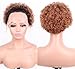 Ombre Short Pixie Cut Lace Front Wigs Human Hair for Black Women 150% Density Short Curly Lace Front Wigs Human Hair 13x1 Transparent Pixie Cut Lace Wig Pre Plucked Glueless Curly Lace Wig T30#