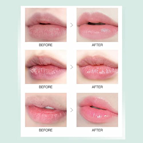 Chocolate Lipstick Olive Water Lipstick Olive Plant Moisturizing Double Hydrating Lipstick Lipstick Dryness Non Stick Cup Student Make Up Kits #TOP6