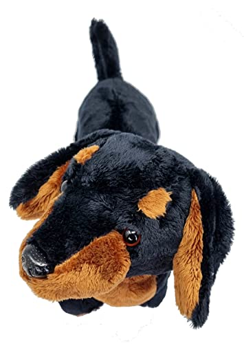 30cm-Sausage-Dog-Teddy