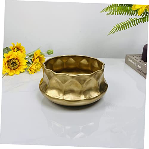Vase élégant pour plantes stable pour éviter les chutes sur la table