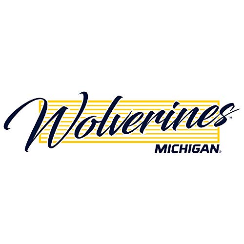 UGP Campus Apparel AH1244 - Michigan Wolverines Screen Play Hoodie - Medium - White