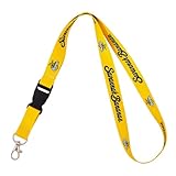 Desert Cactus Savannah Bananas Lanyard Baseball Car Keys ID Badge Holder Keychain Detachable Breakaway Snap Buckle (Lanyard B)