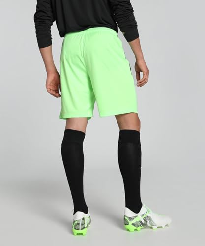 Image of Puma Men Shorts