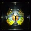 2.9" Real Red-Base Jezebel Butterfly in Crystal Clear Lucite Resin Paperweight Specimen Preserved Delias Pasithoe Taxidermy Crafts Collection for Biology Science Education Display Decor Supplies #1