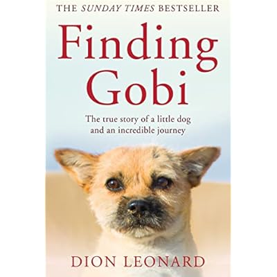 Finding Gobi (Main edition): The true story of a little dog and an incredible journey